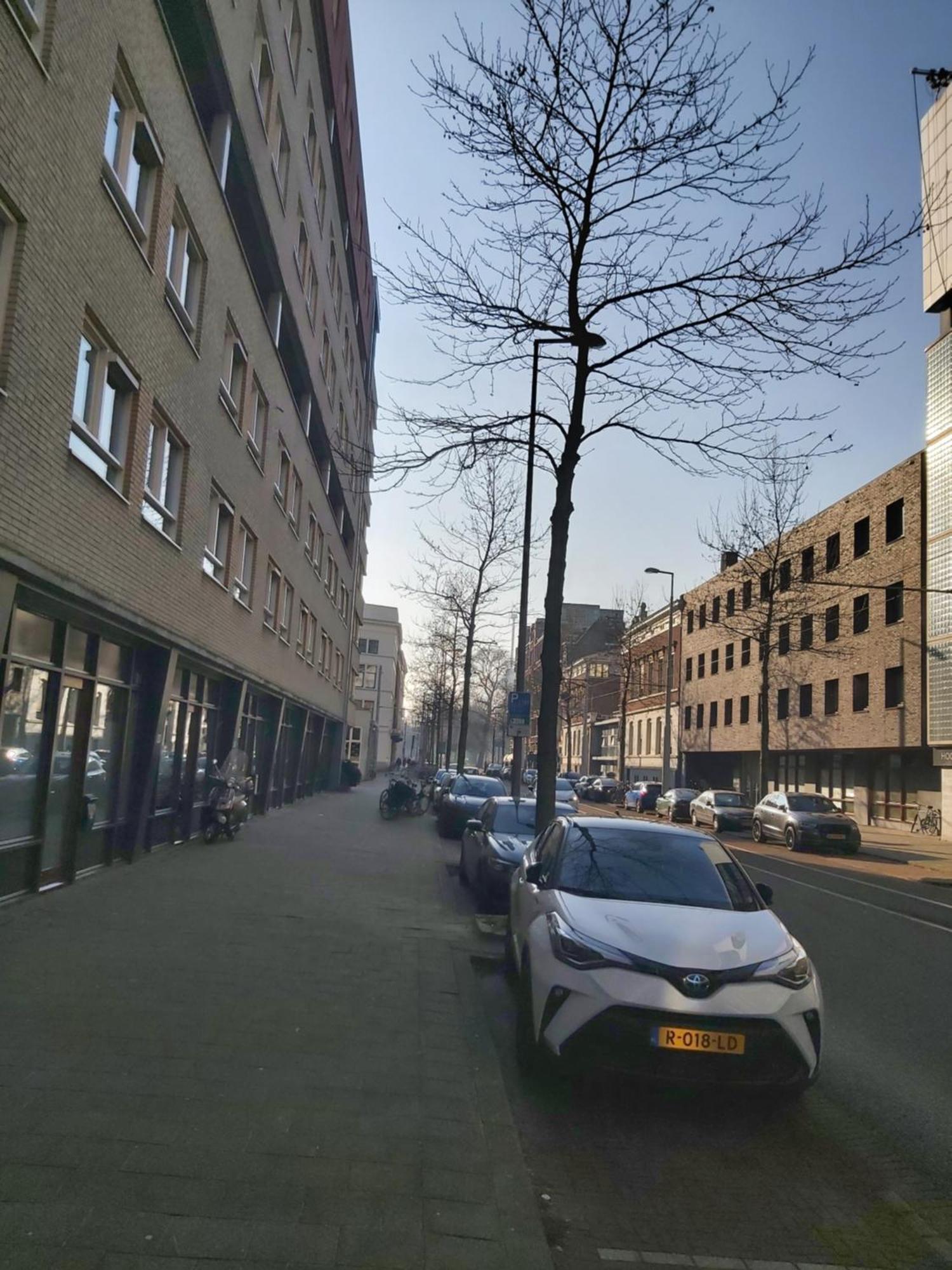 Perfect Studio 14 H Center Rotterdam Eksteriør bilde